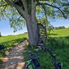 E-chopper-huren-hengevelde