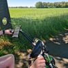E-chopper-huren-hengevelde
